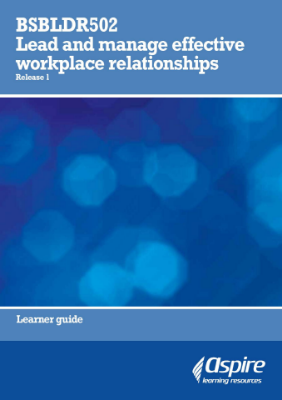 Picture of BSBLDR502 Lead and manage effective workplace relationships